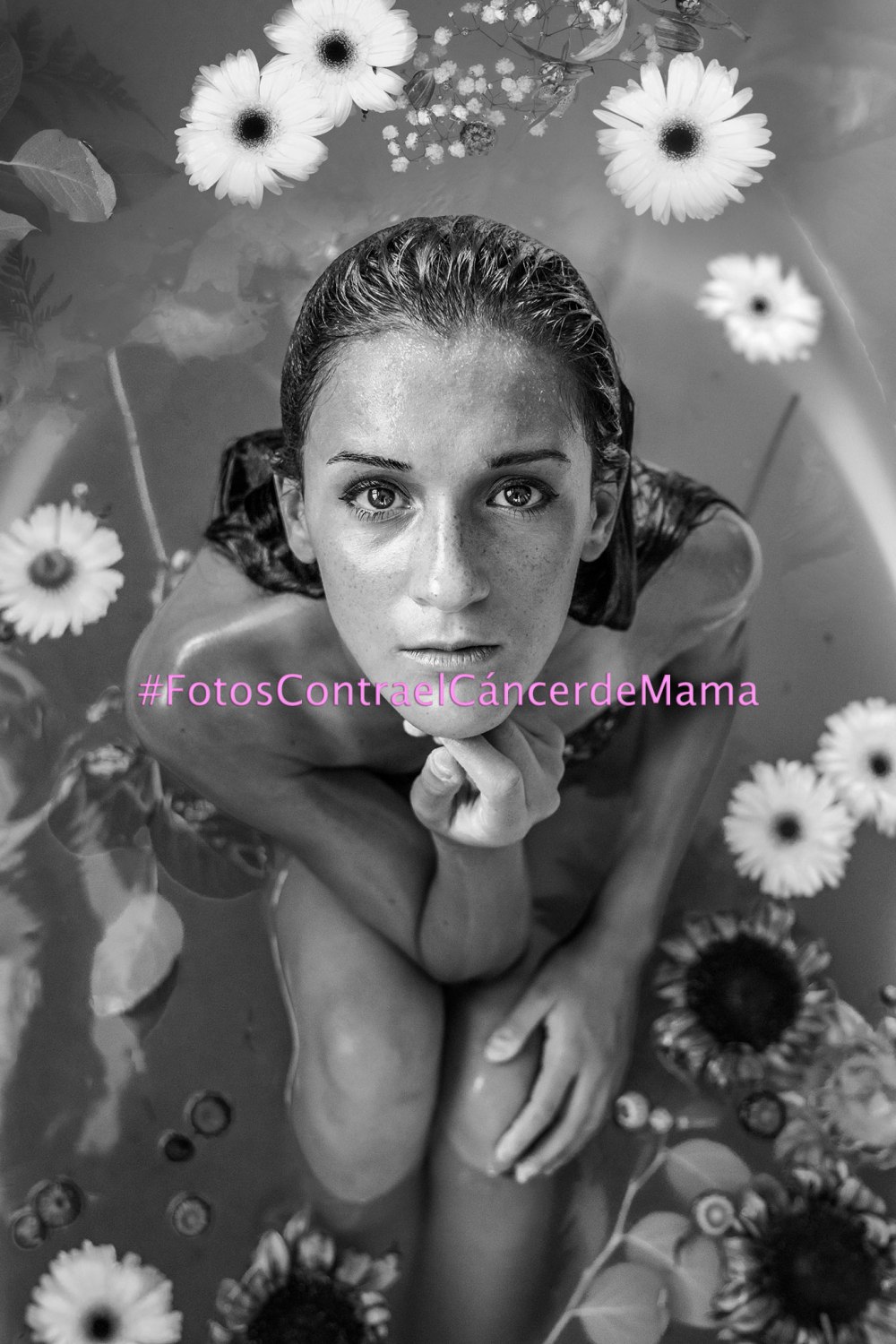 fotos-contra-cancer-mama-avippp